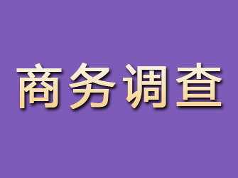 江夏商务调查